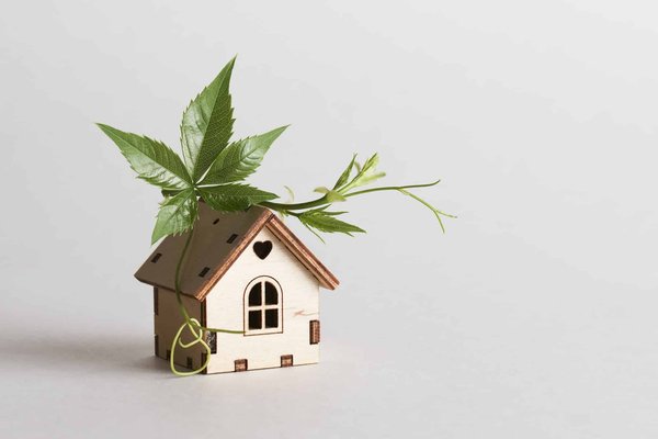 Can You Retrofit a Power Tailgate in a 2017 Kia Sorento for Added Convenience?